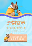 宠物海报