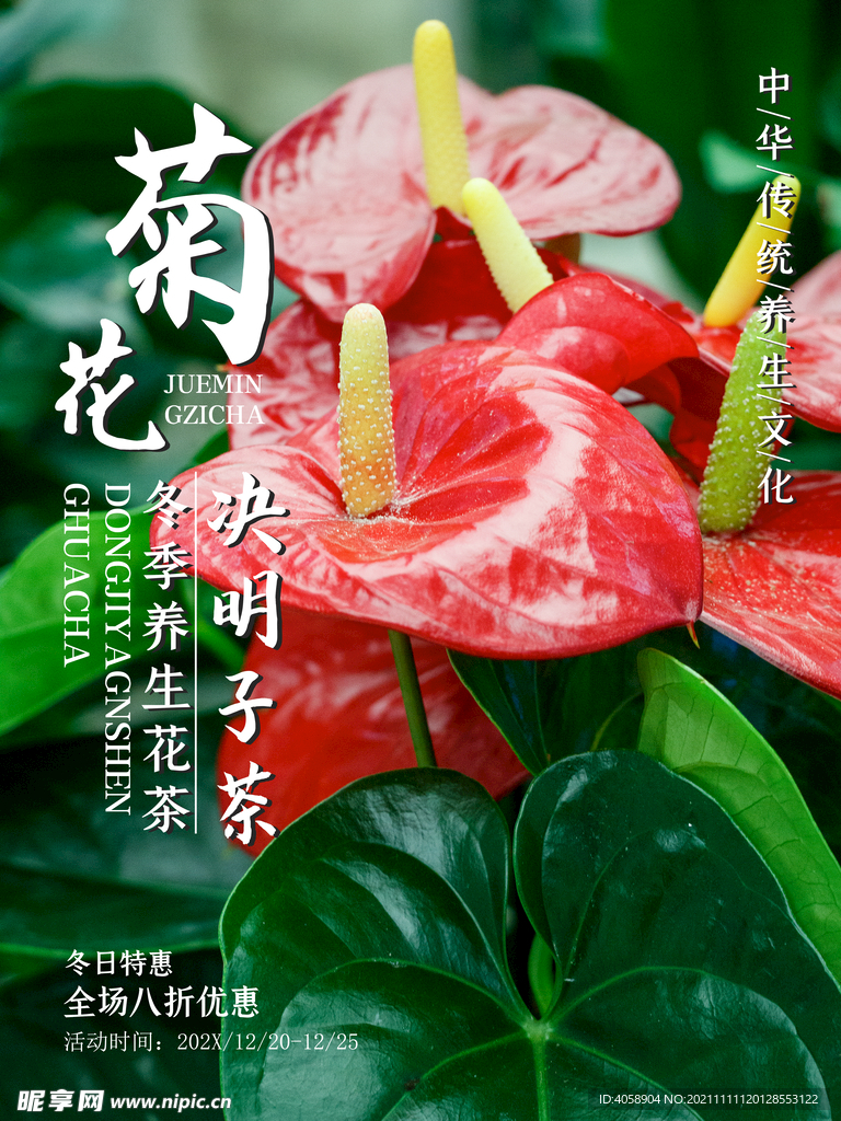 菊花