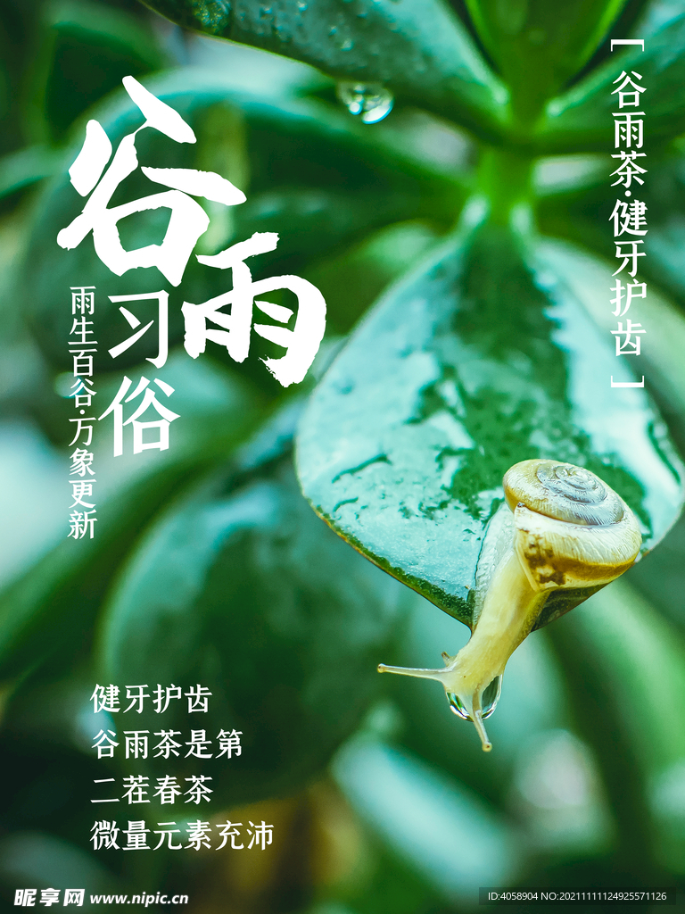 谷雨