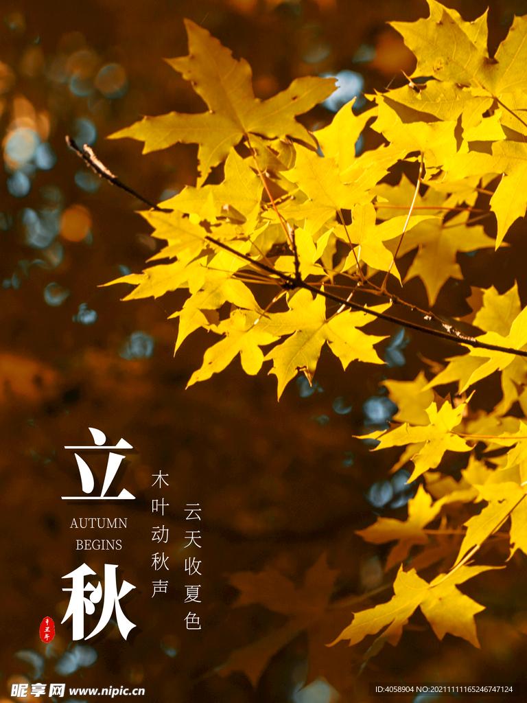 立秋