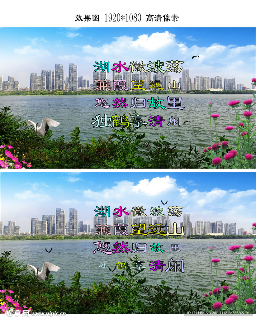 武汉东湖荷花美景FLASH视频