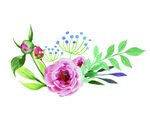 花素材