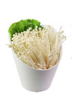 金针菇素材