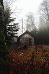 阴森林中小屋