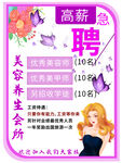 美容养生招聘