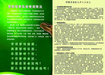 中医养生脊椎