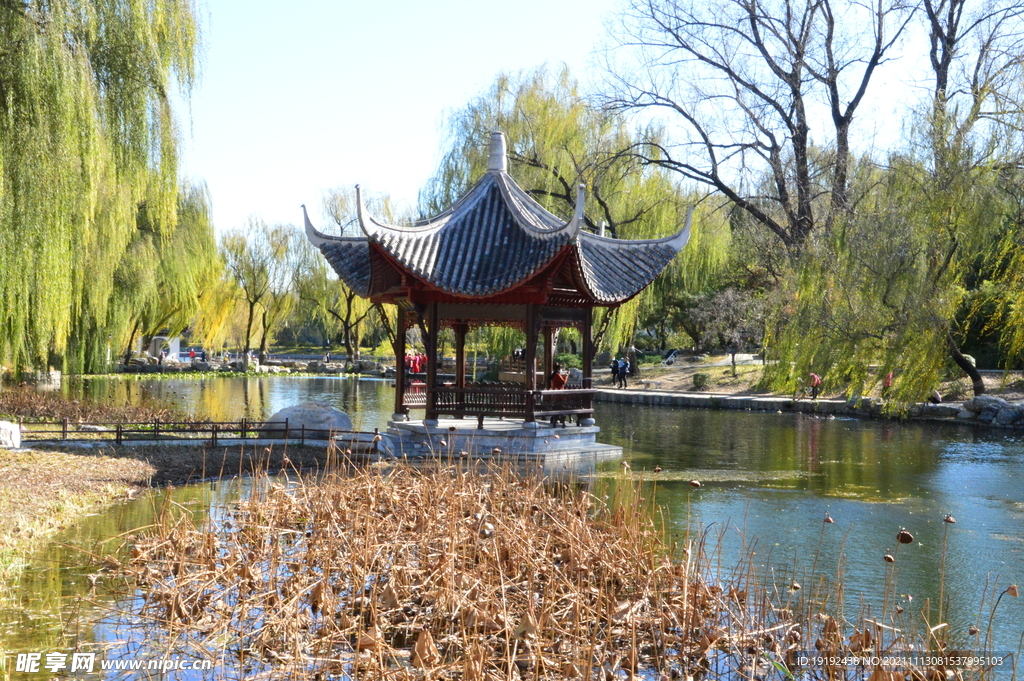 陶然亭风景 