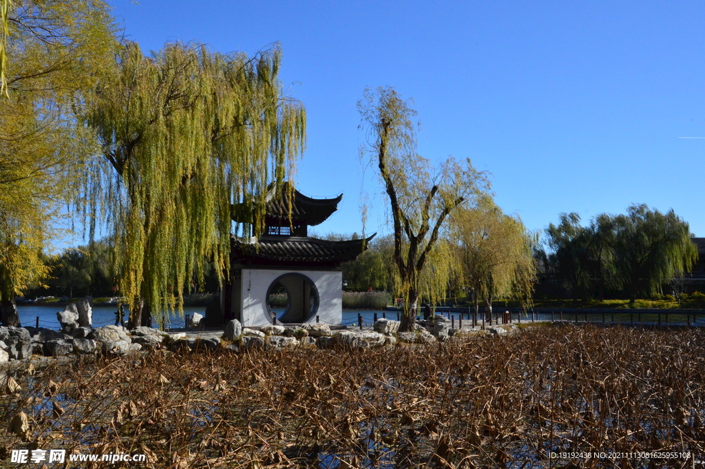 陶然亭风景