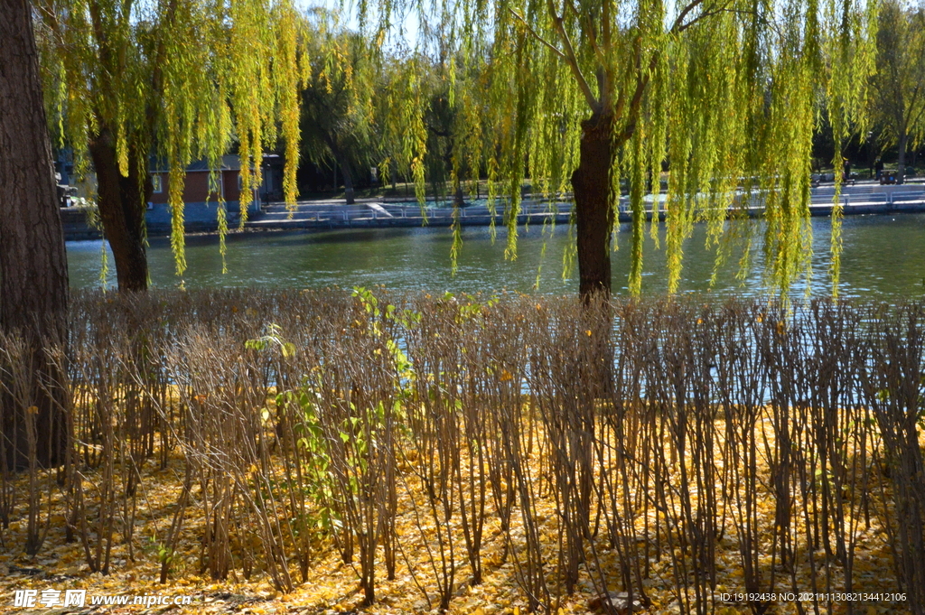 陶然亭风景 