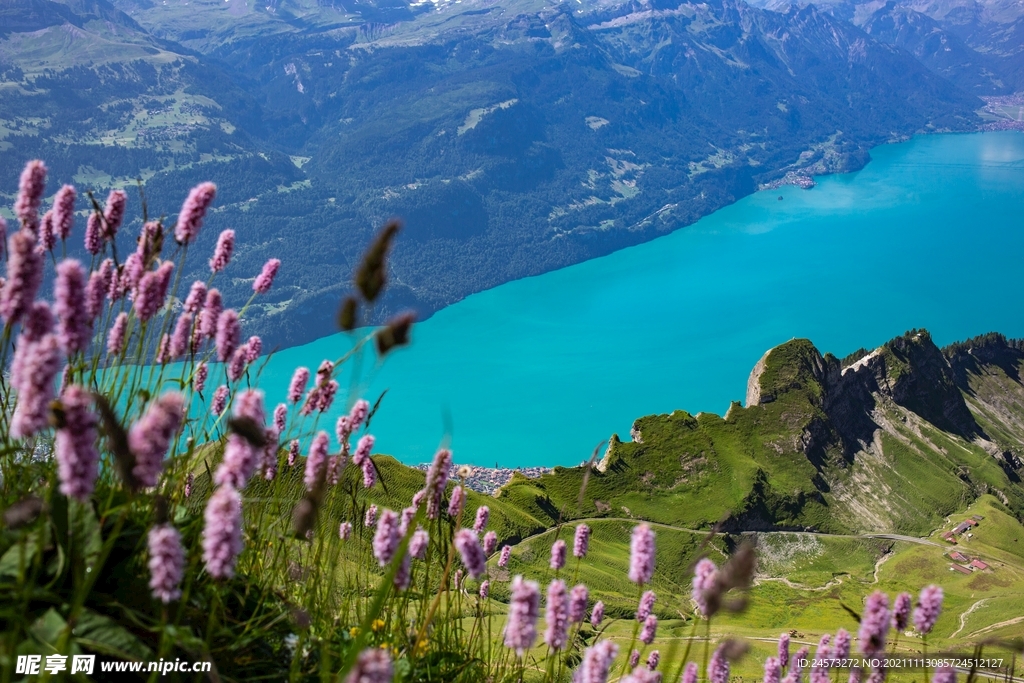 瑞士风景 