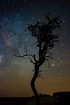 星空 