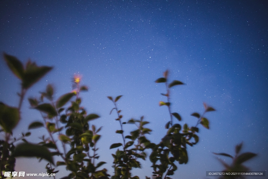 星空 