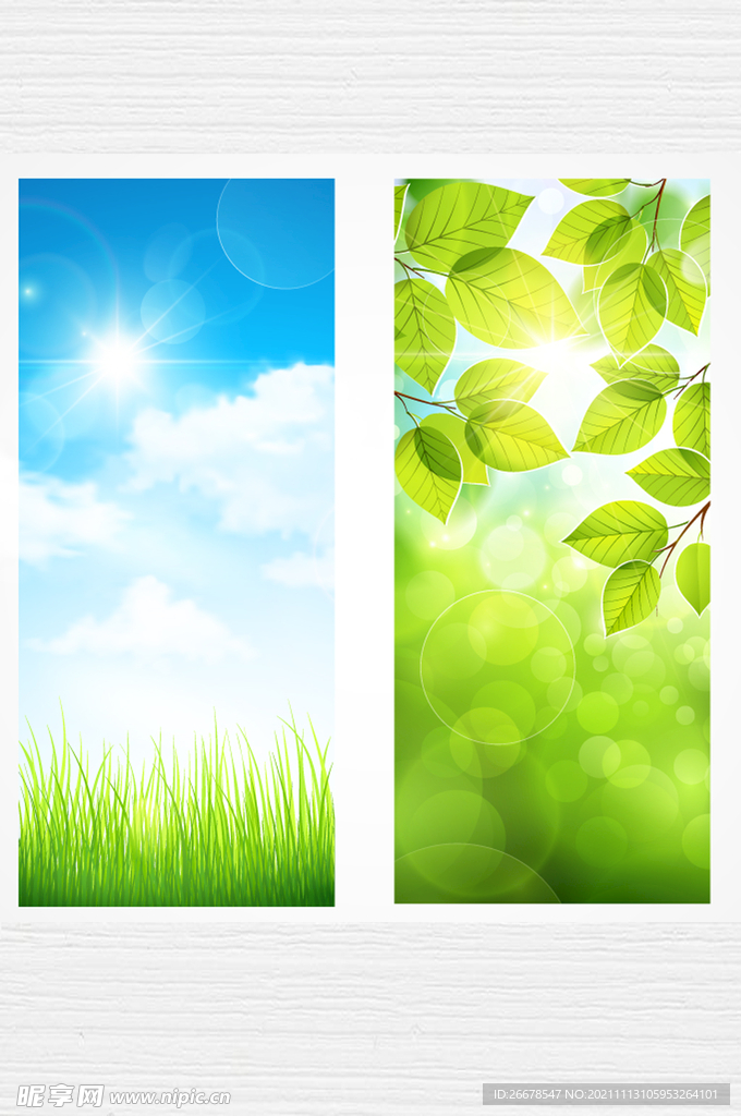 天空草地植物背景