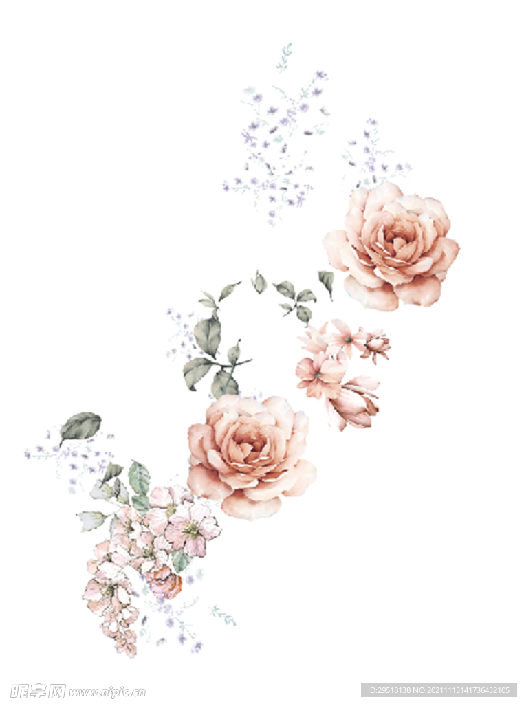 花卉