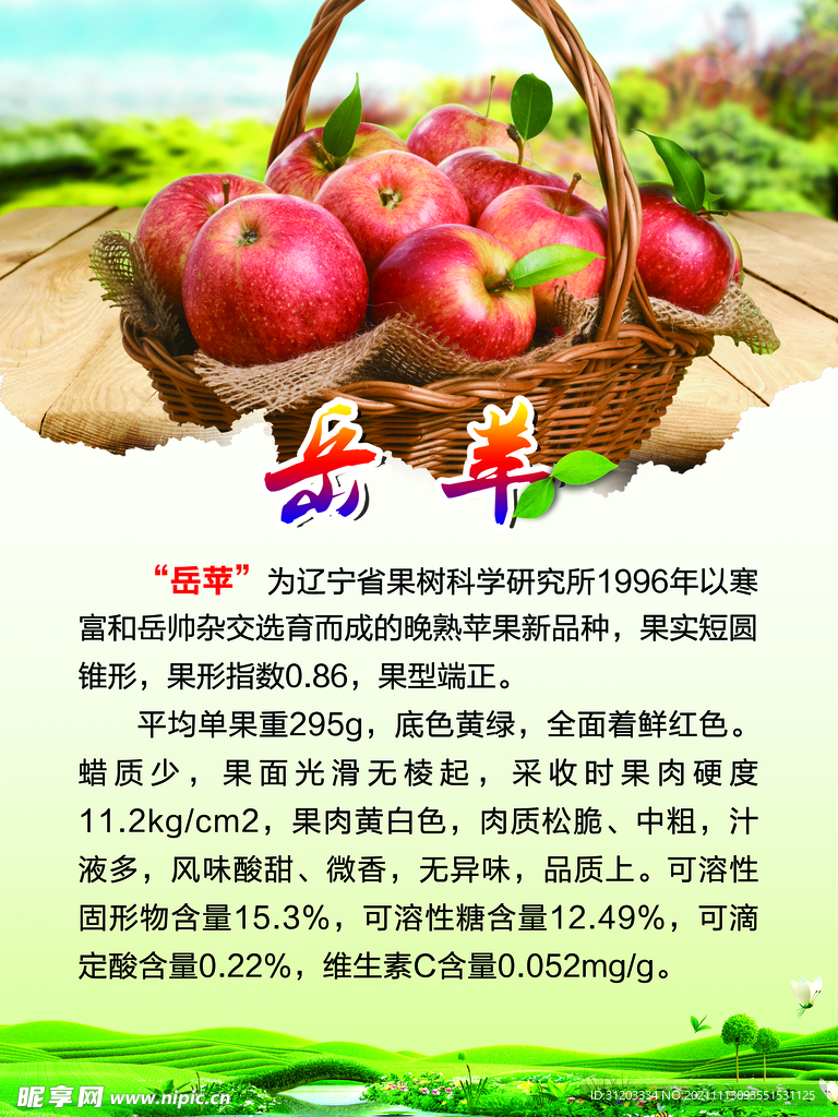 苹果图片
