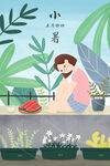 小暑