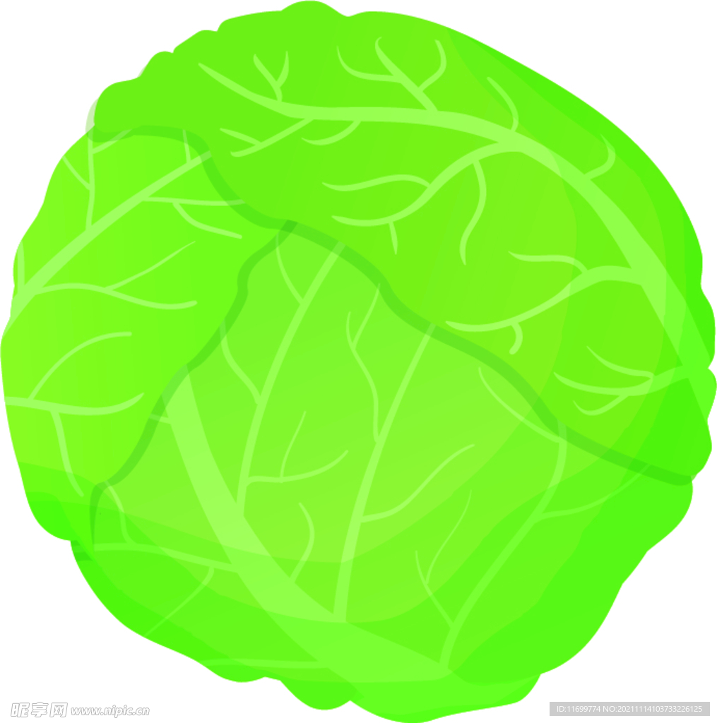 苞菜