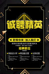 招聘精英