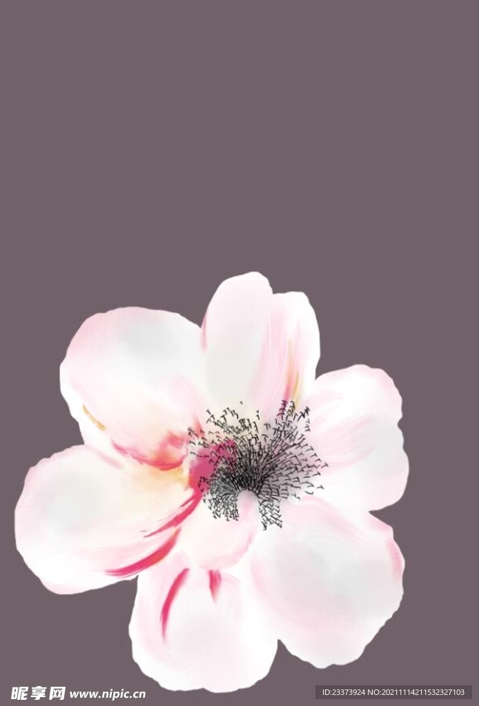 手绘花