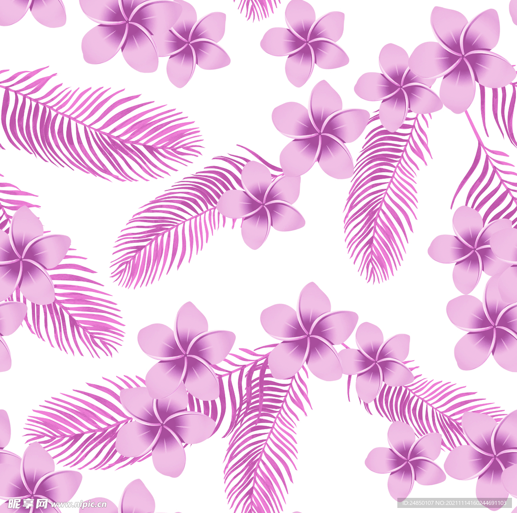 粉色鸡蛋花