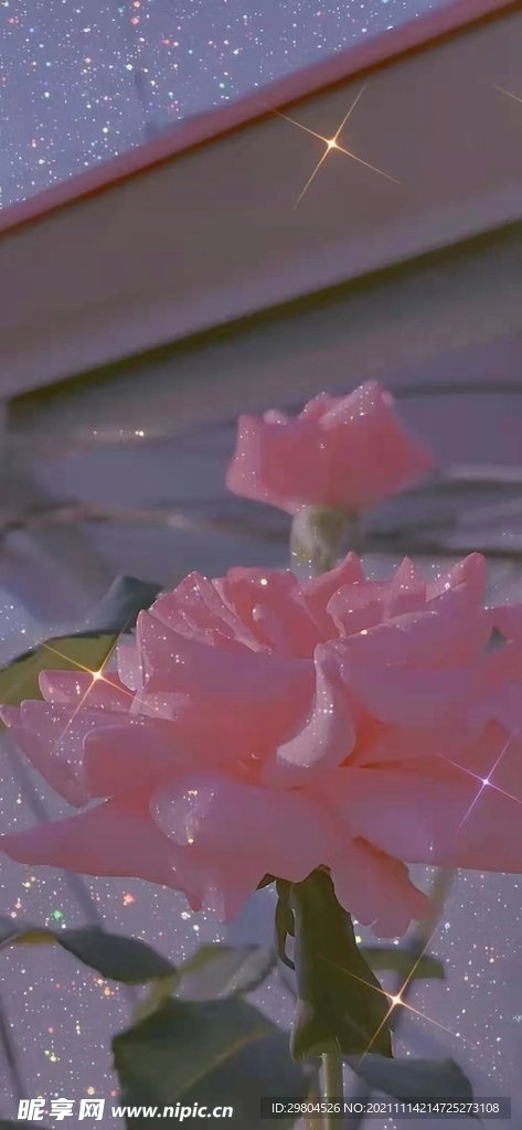 花壁纸图