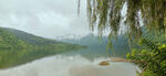 青山绿水
