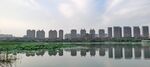 城市湖景