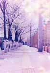 桃花街景