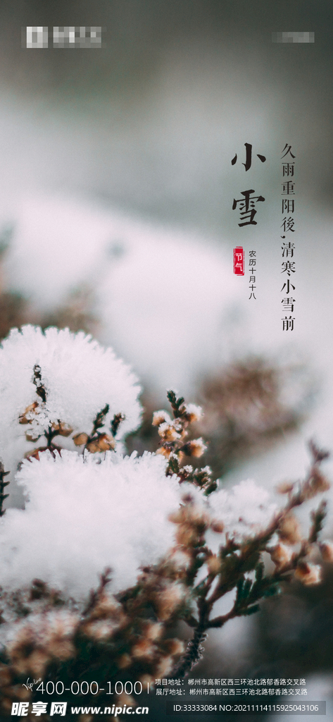 小雪节气