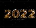 2022花纹数字