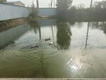 水