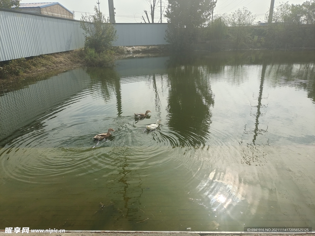 水