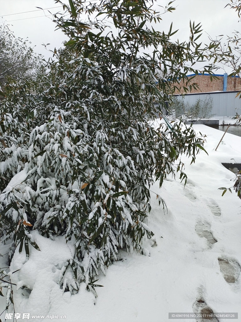 雪景