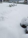 雪景