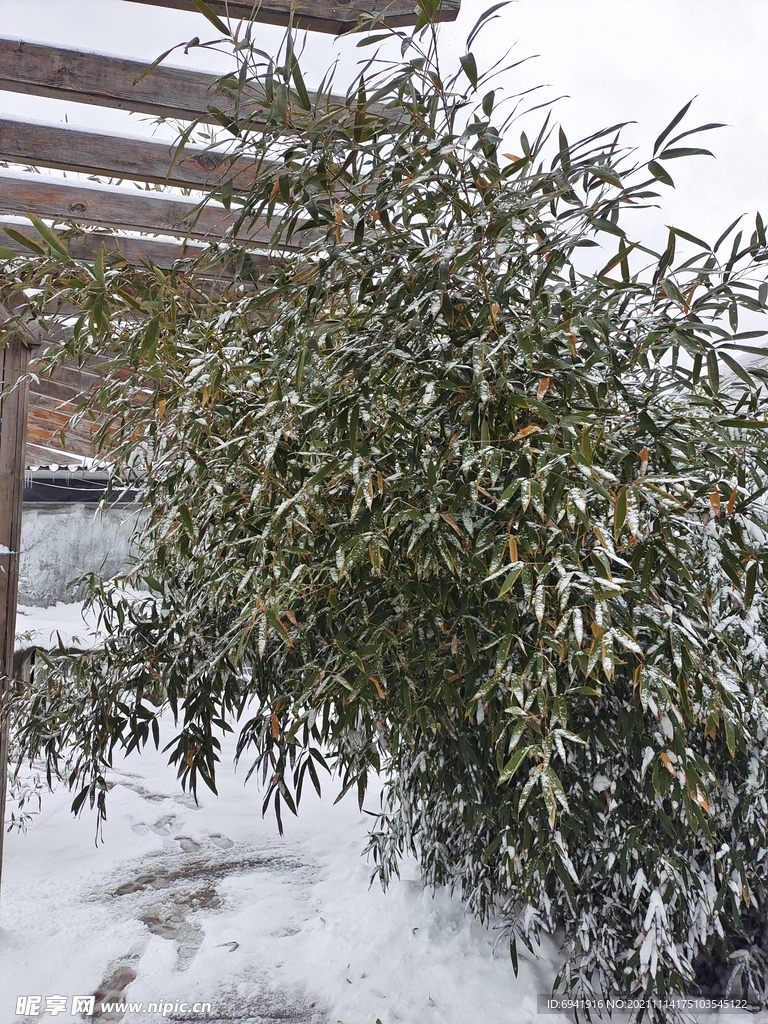 雪景