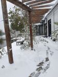 雪景