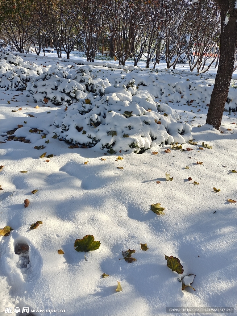 雪景