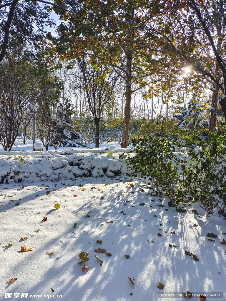 雪景