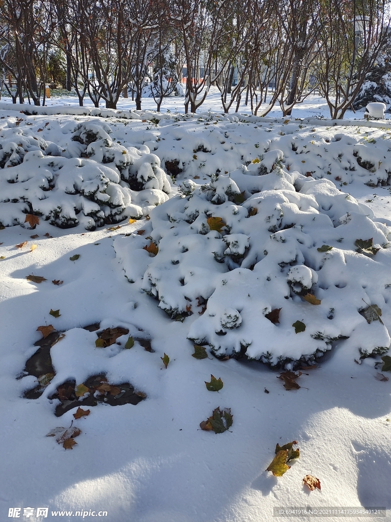 雪景