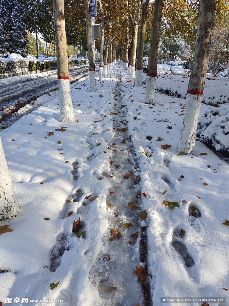 雪景