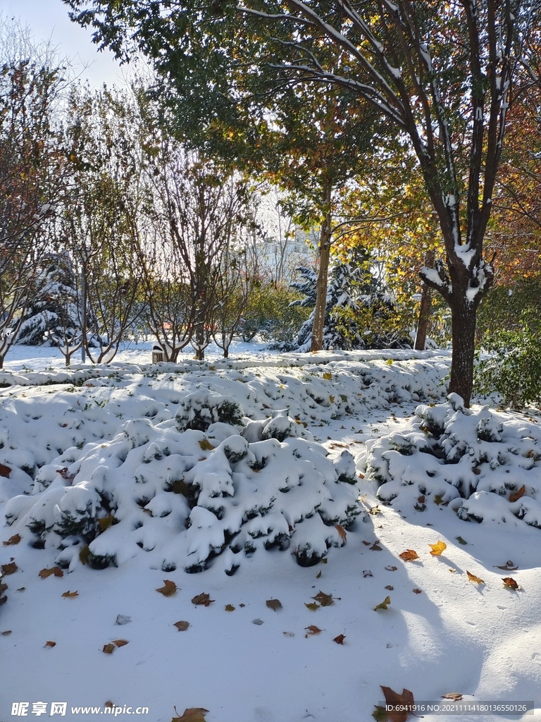 雪景