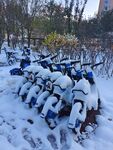 雪中小蓝车