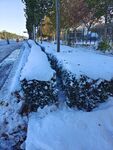 雪景