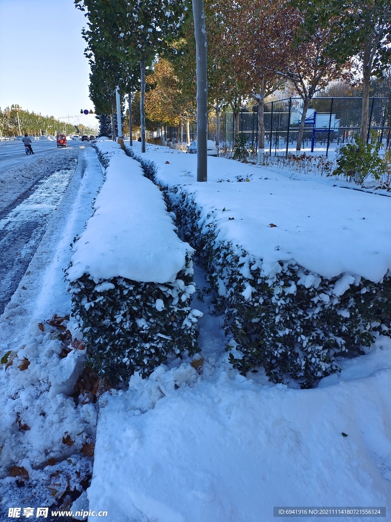 雪景