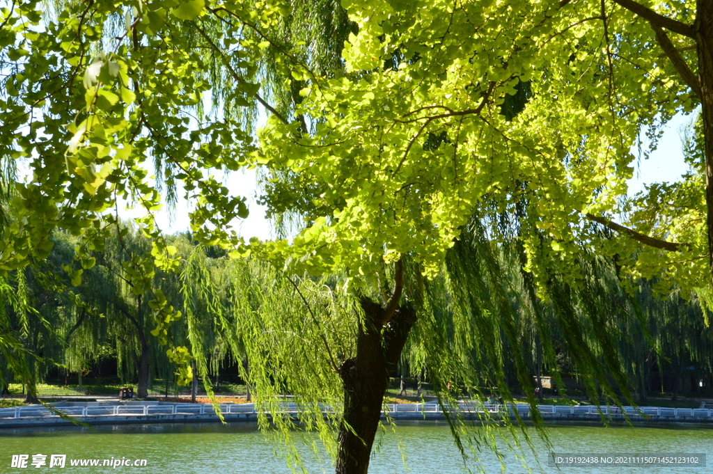 陶然亭风景  