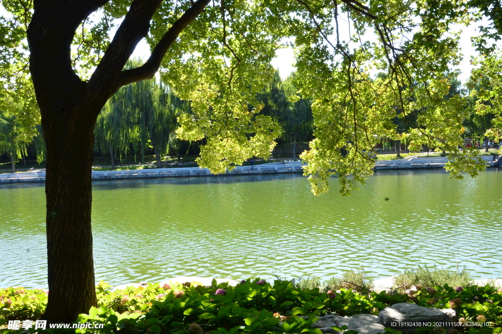 公园风景