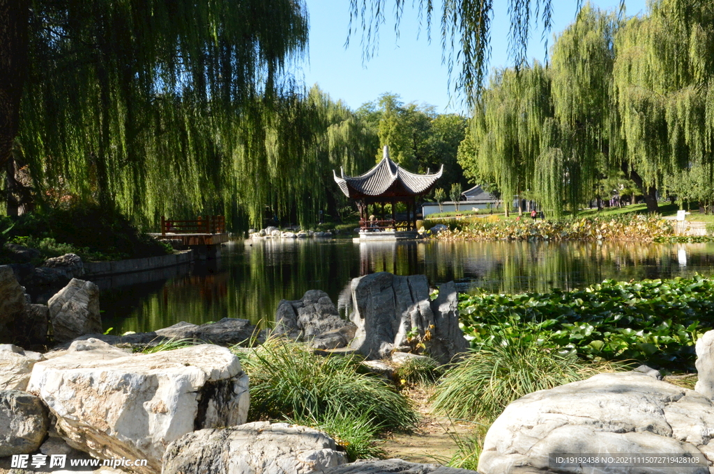 公园风景