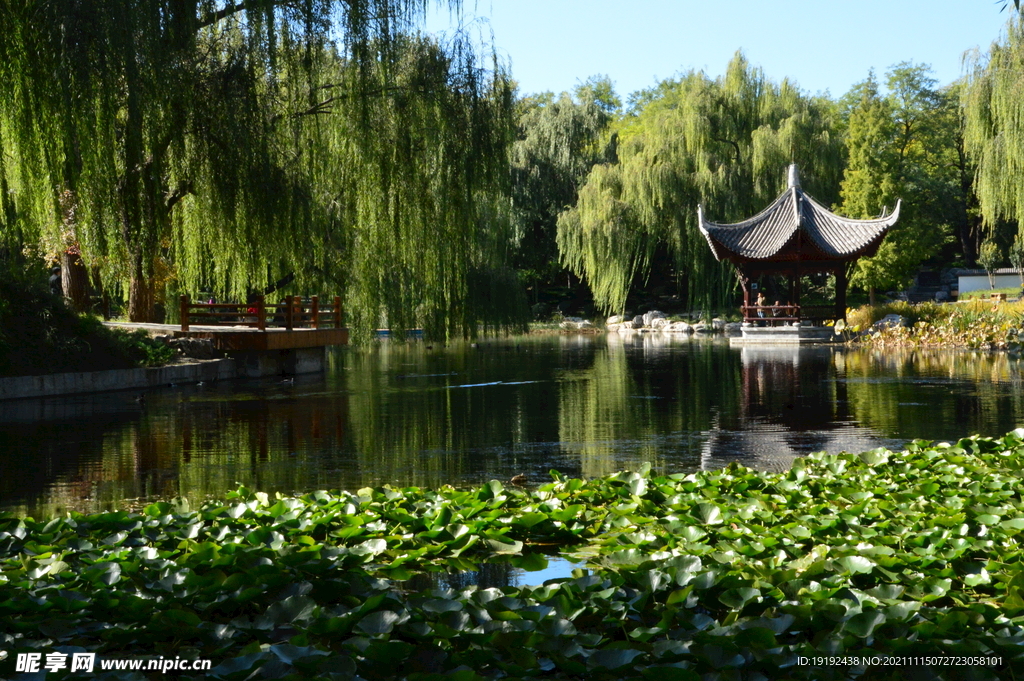 陶然亭风景 