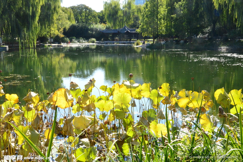 公园风景