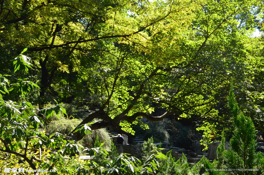 公园风景